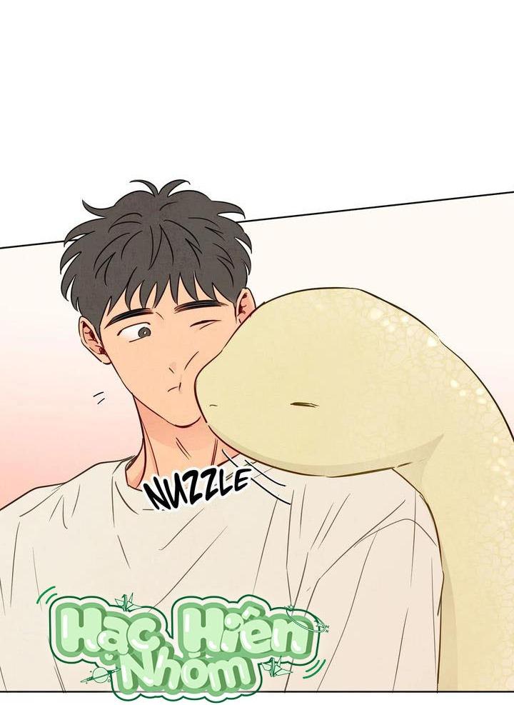 Sự quyến rũ của Thần Rắn Chapter 50 hachiennhom - Trang 3