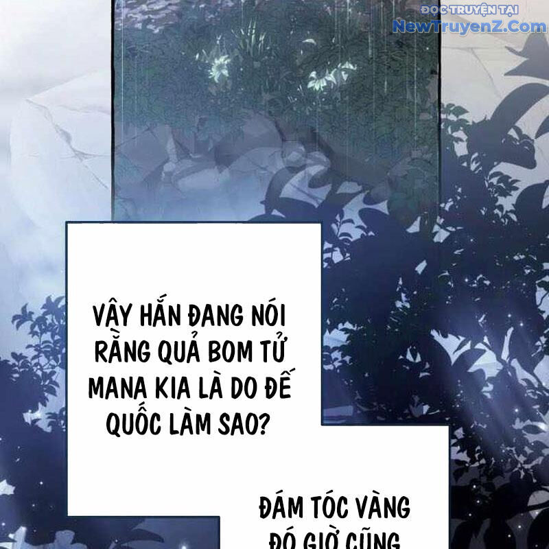 Sự Ra Đời Của Một Anh Hùng Chapter 147 - Trang 2