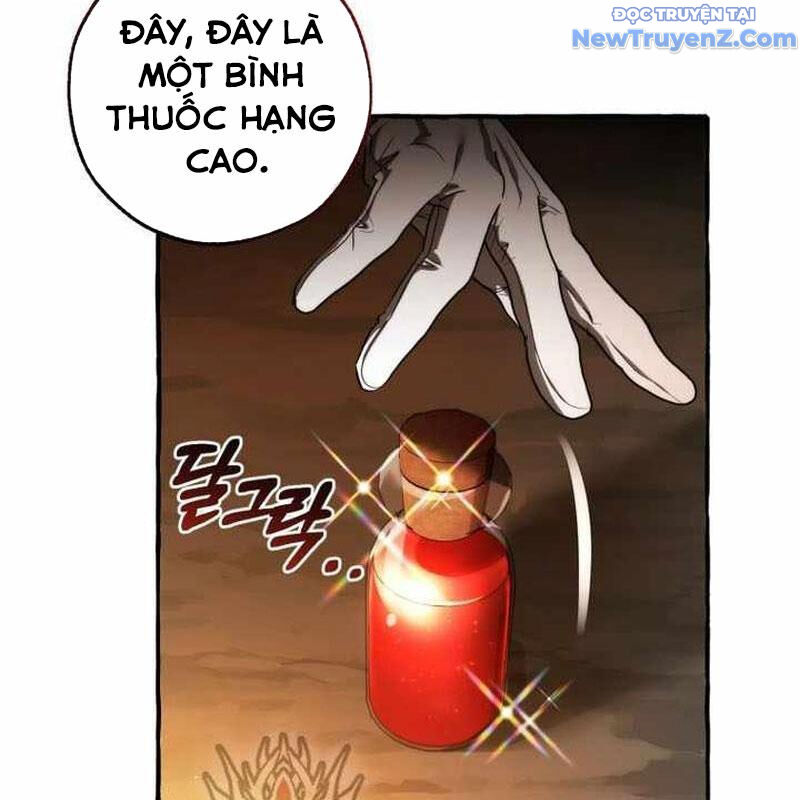Sự Ra Đời Của Một Anh Hùng Chapter 147 - Trang 2