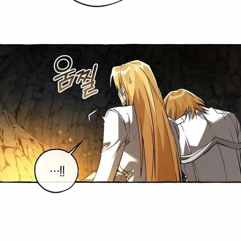 Sự Ra Đời Của Một Anh Hùng Chapter 149 - Trang 2