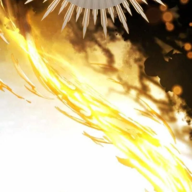Sự Ra Đời Của Một Anh Hùng Chapter 149 - Trang 2