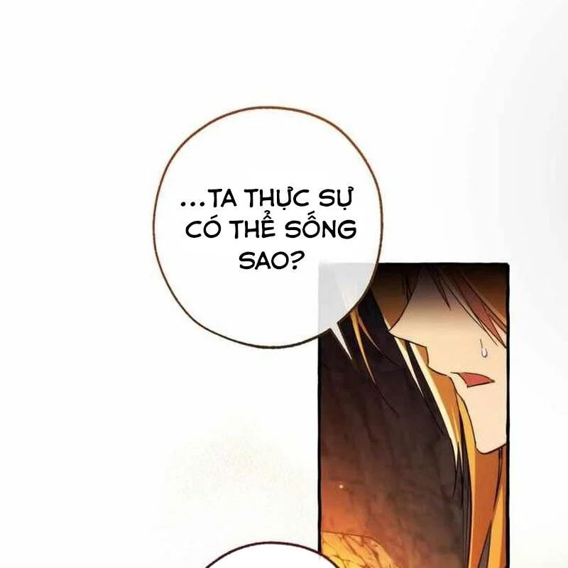 Sự Ra Đời Của Một Anh Hùng Chapter 150 - Trang 2