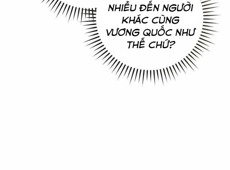 Sự Ra Đời Của Một Anh Hùng Chapter 150 - Trang 2
