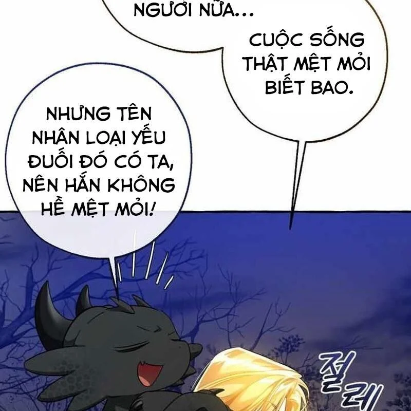 Sự Ra Đời Của Một Anh Hùng Chapter 151 - Trang 2