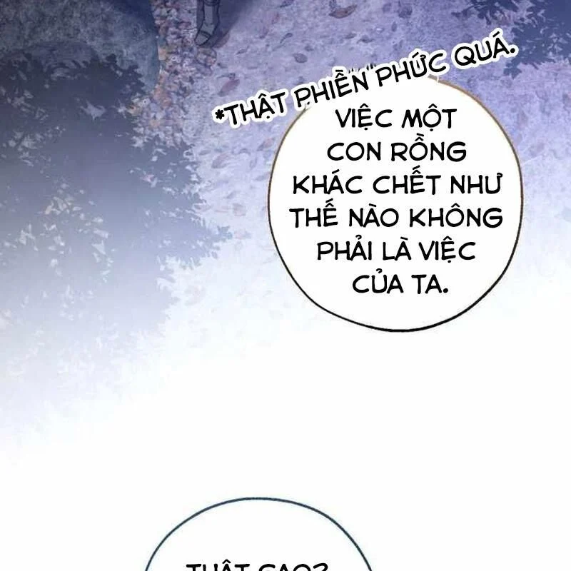 Sự Ra Đời Của Một Anh Hùng Chapter 151 - Trang 2