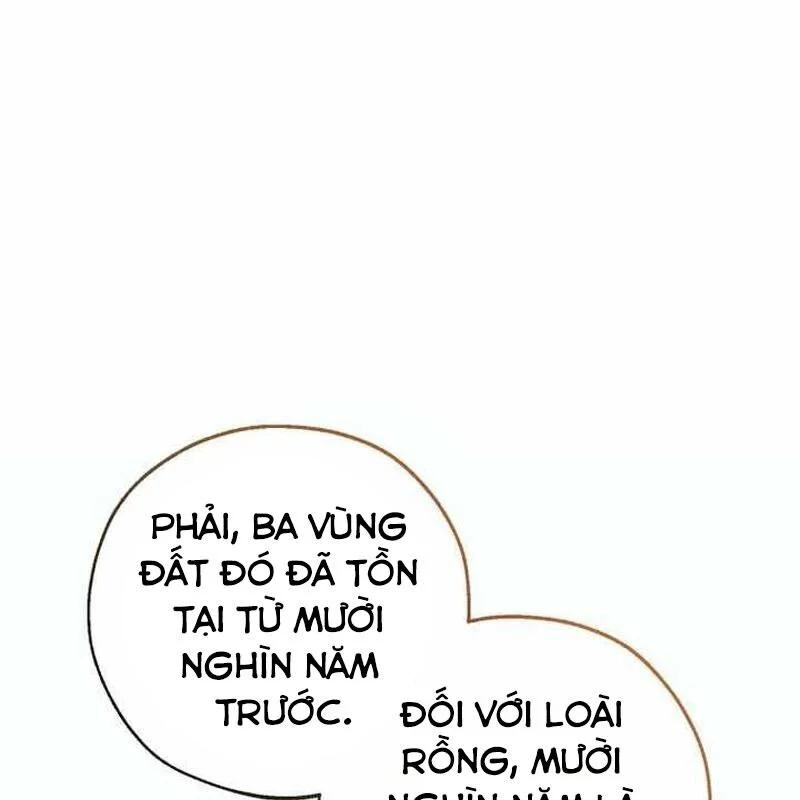 Sự Ra Đời Của Một Anh Hùng Chapter 151 - Trang 2