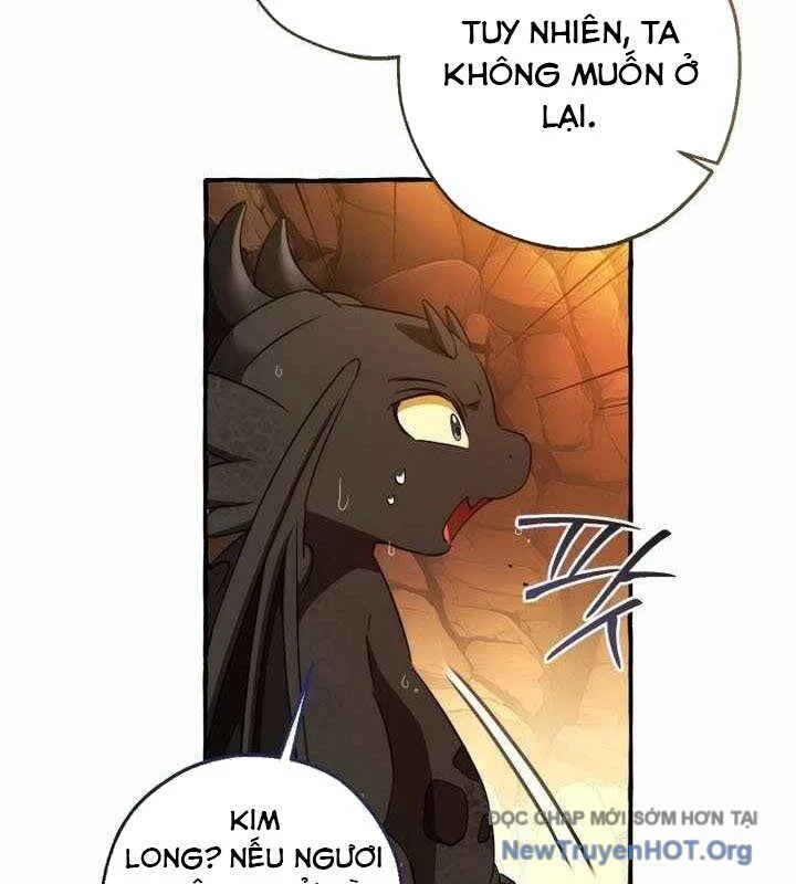 Sự Ra Đời Của Một Anh Hùng Chapter 153 - Trang 2