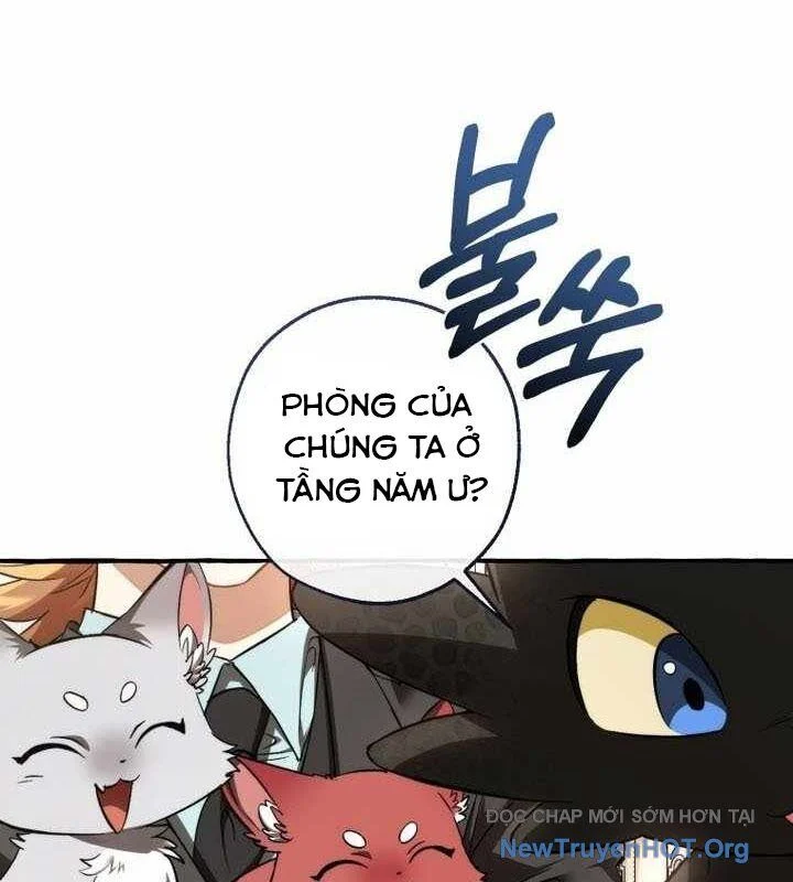 Sự Ra Đời Của Một Anh Hùng Chapter 153 - Trang 2