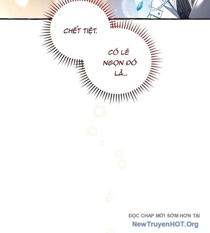 Sự Ra Đời Của Một Anh Hùng Chapter 159 - Trang 3