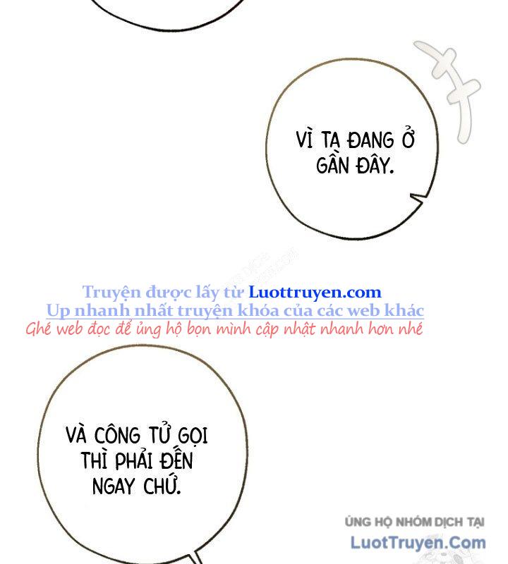 Sự Ra Đời Của Một Anh Hùng Chapter 168 - Trang 2
