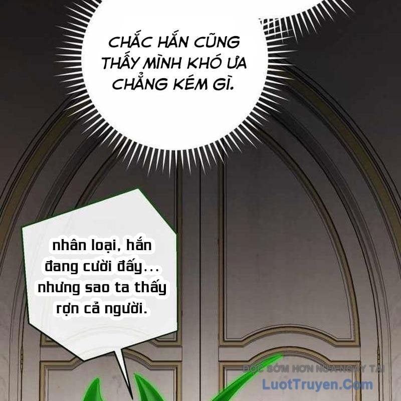 Sự Ra Đời Của Một Anh Hùng Chapter 169 - Trang 2