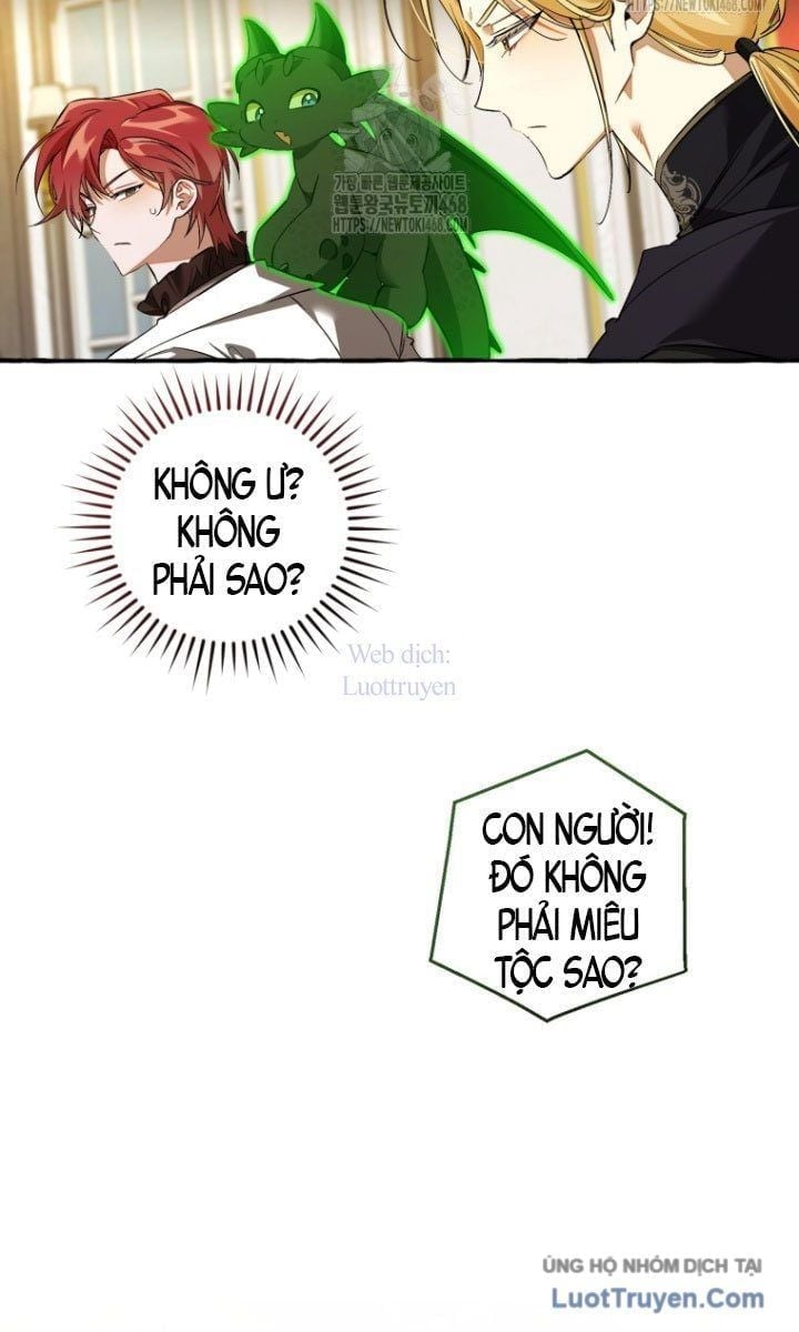 Sự Ra Đời Của Một Anh Hùng Chapter 170 - Trang 2