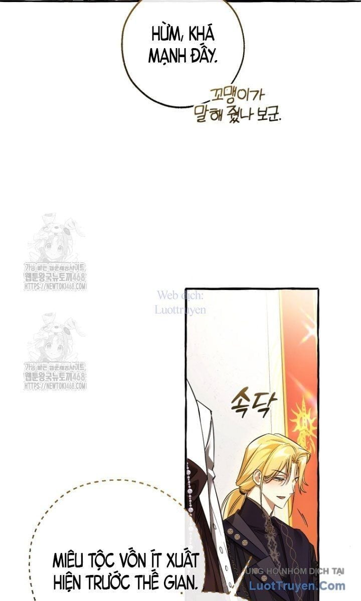 Sự Ra Đời Của Một Anh Hùng Chapter 170 - Trang 2