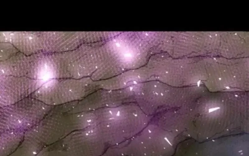 Sư Tôn Của Ta Luôn Dõi Theo Chapter 60 - Trang 2