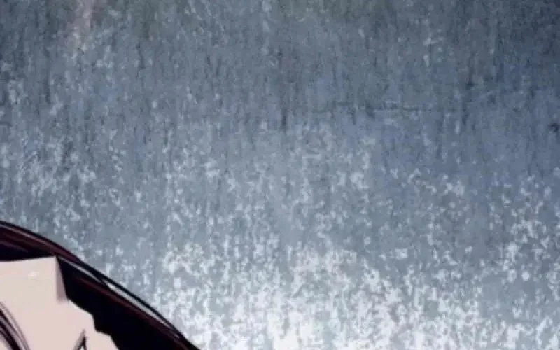 Sư Tôn Của Ta Luôn Dõi Theo Chapter 60 - Trang 2