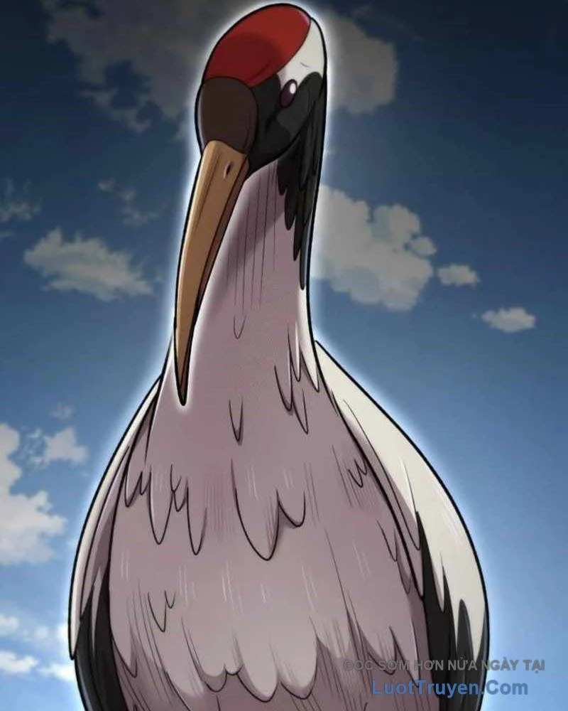 Sư Tôn Của Ta Luôn Dõi Theo Chapter 65 - Trang 2