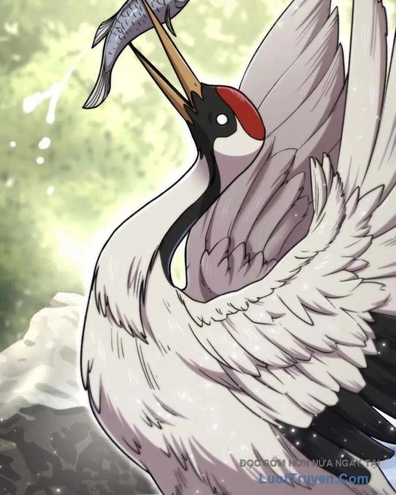 Sư Tôn Của Ta Luôn Dõi Theo Chapter 65 - Trang 2