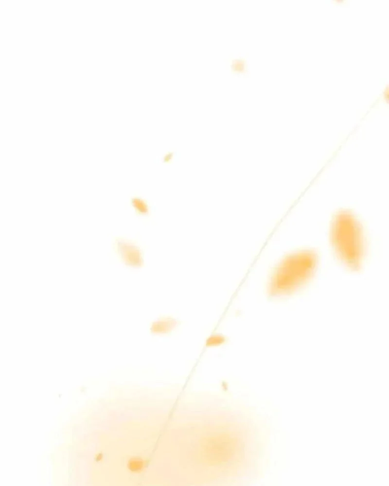 Sư Tôn Của Ta Luôn Dõi Theo Chapter 69 - Trang 2