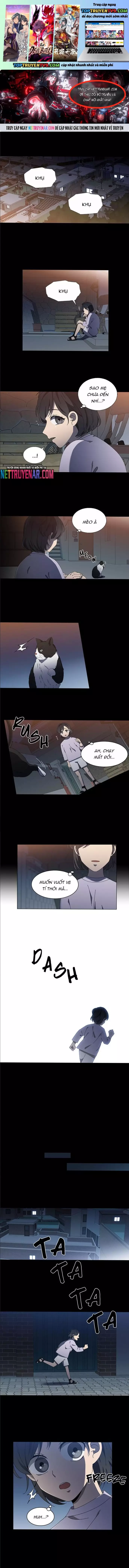 Sư Tôn Mỹ Nhân Bệnh Độc Chiếm Chapter 89 - Trang 3