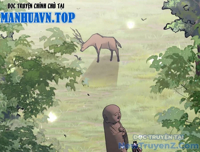 Sư Tôn: Nghịch Đồ Này Không Phải Là Thánh Tử Chapter 133 - Trang 2