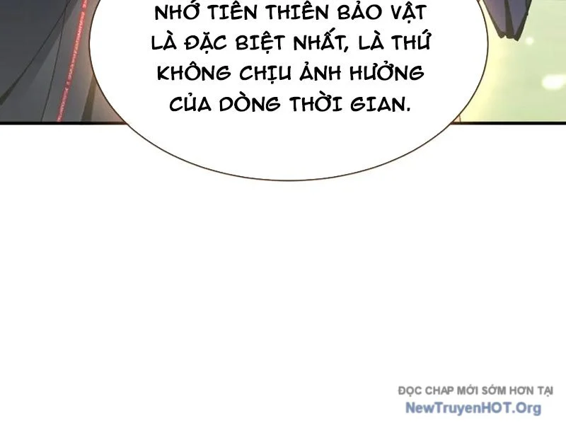Sư Tôn: Nghịch Đồ Này Không Phải Là Thánh Tử Chapter 135 - Trang 2