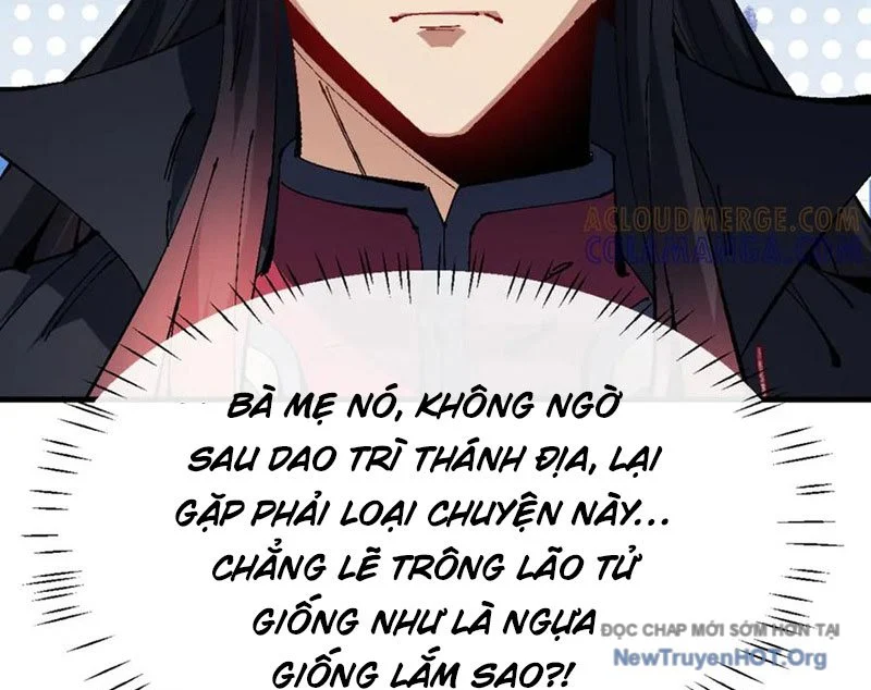 Sư Tôn: Nghịch Đồ Này Không Phải Là Thánh Tử Chapter 142 - Trang 2