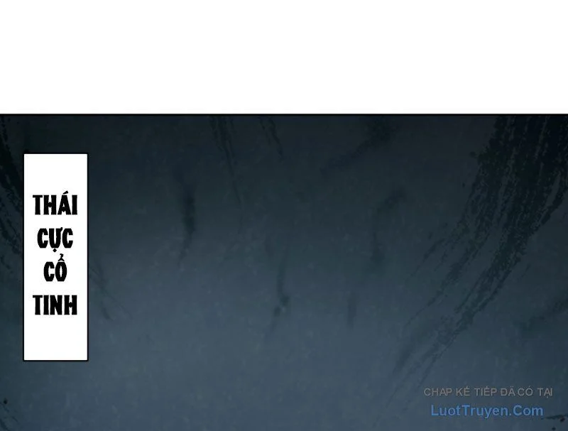 Sư Tôn: Nghịch Đồ Này Không Phải Là Thánh Tử Chapter 159 - Trang 2