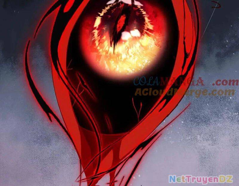 Sư Tôn: Nghịch Đồ Này Mới Không Phải Là Thánh Tử Chapter 100 - Trang 4