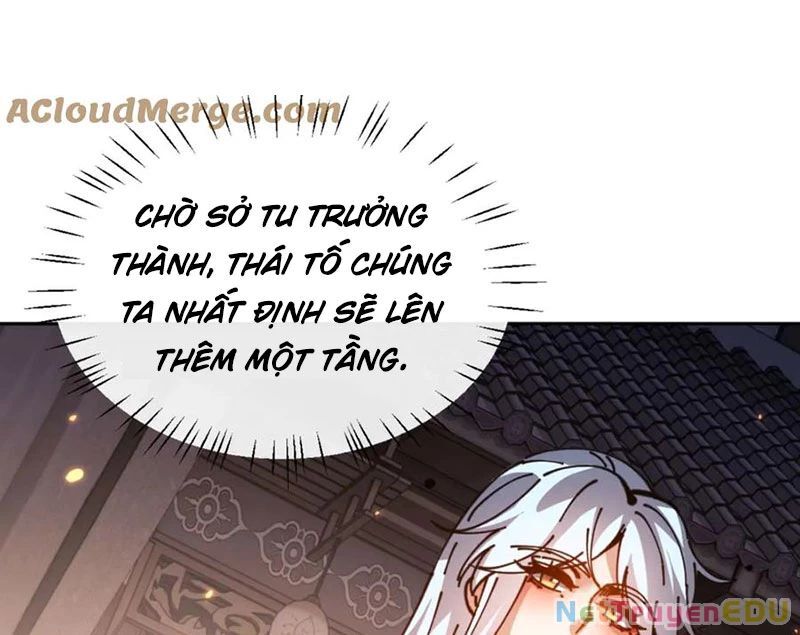Sư Tôn: Nghịch Đồ Này Mới Không Phải Là Thánh Tử Chapter 114 - Trang 4