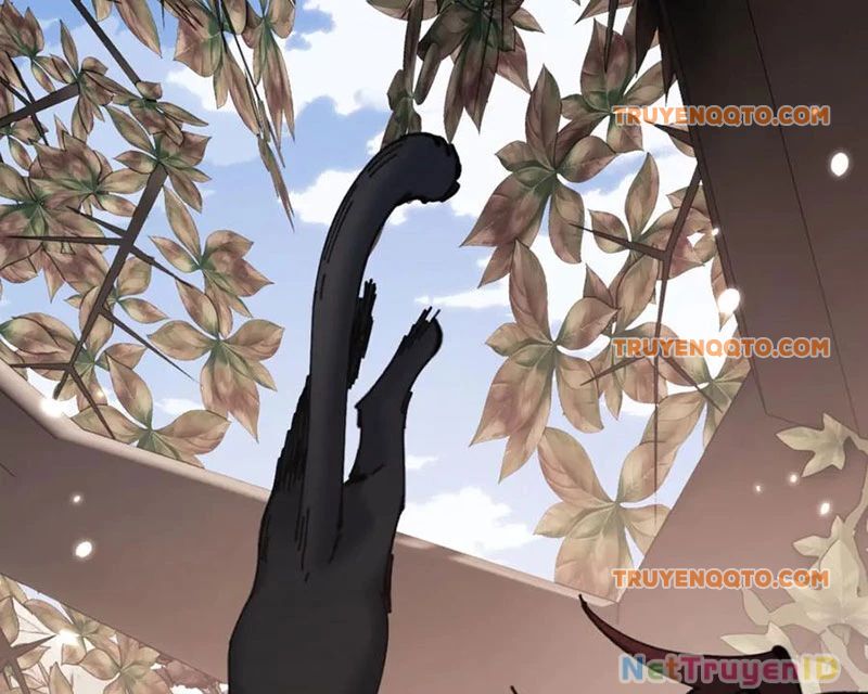 Sư Tôn: Nghịch Đồ Này Mới Không Phải Là Thánh Tử Chapter 116 - Trang 4