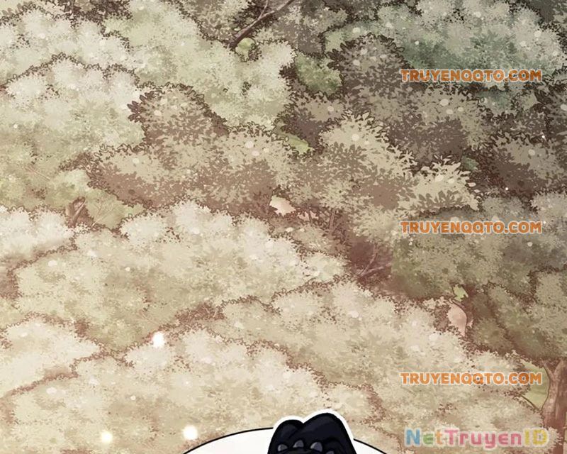 Sư Tôn: Nghịch Đồ Này Mới Không Phải Là Thánh Tử Chapter 116 - Trang 4