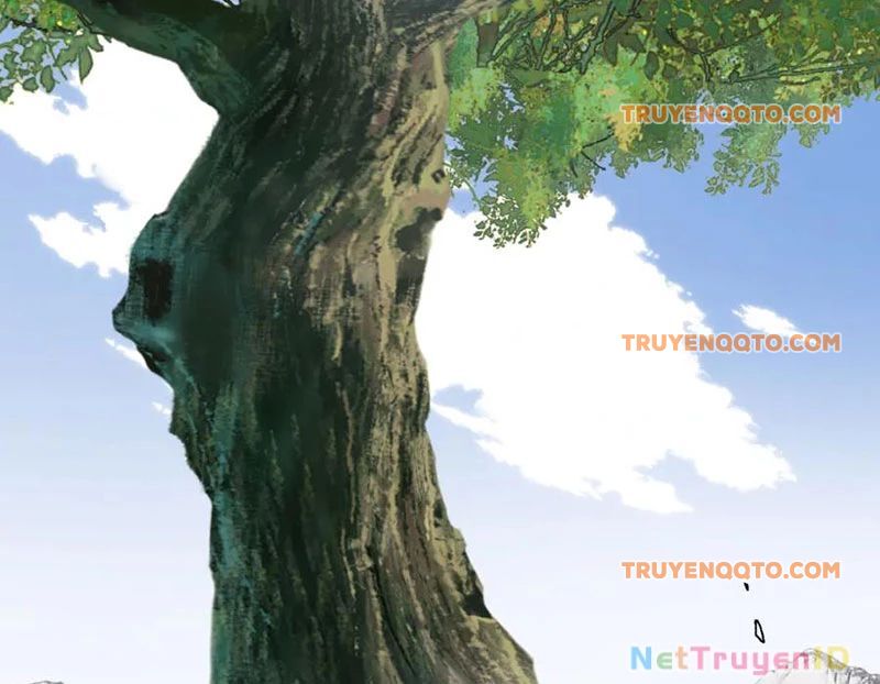 Sư Tôn: Nghịch Đồ Này Mới Không Phải Là Thánh Tử Chapter 117 - Trang 4