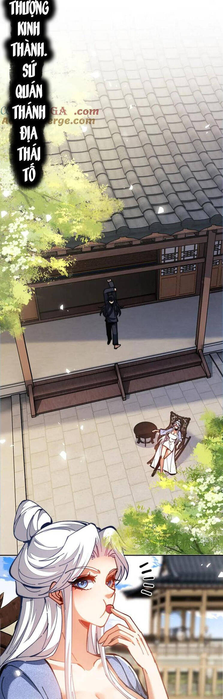 Sư Tôn: Nghịch Đồ Này Mới Không Phải Là Thánh Tử Chapter 40 - Trang 4