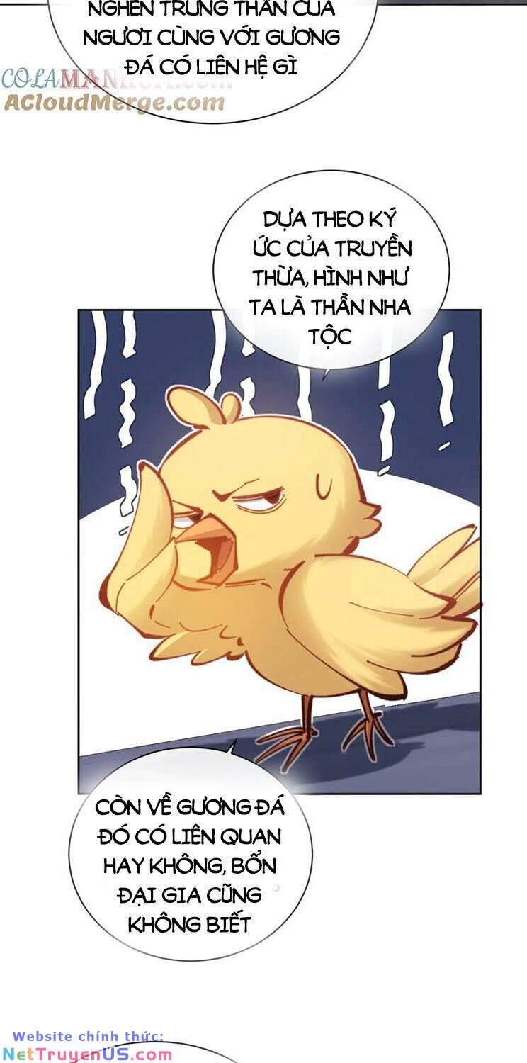 Sư Tôn: Nghịch Đồ Này Mới Không Phải Là Thánh Tử Chapter 23.5 - Trang 3