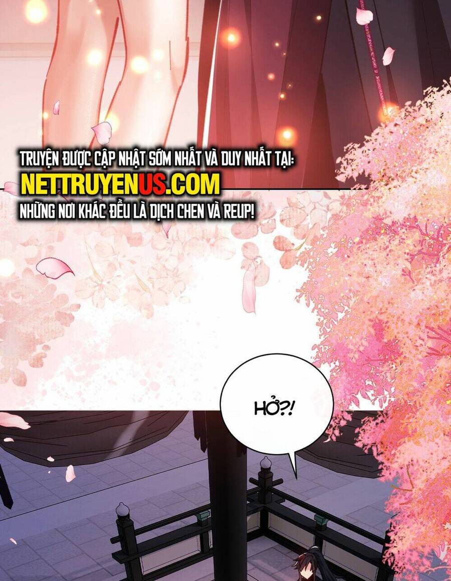 Sư Tôn: Nghịch Đồ Này Mới Không Phải Là Thánh Tử Chapter 23 - Trang 4