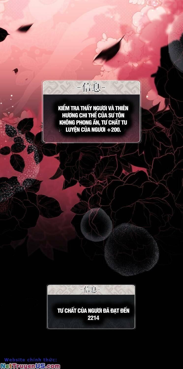 Sư Tôn: Nghịch Đồ Này Mới Không Phải Là Thánh Tử Chapter 24 - Trang 4