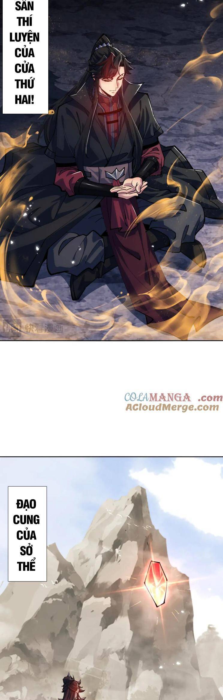 Sư Tôn: Nghịch Đồ Này Mới Không Phải Là Thánh Tử Chapter 76 - Trang 4