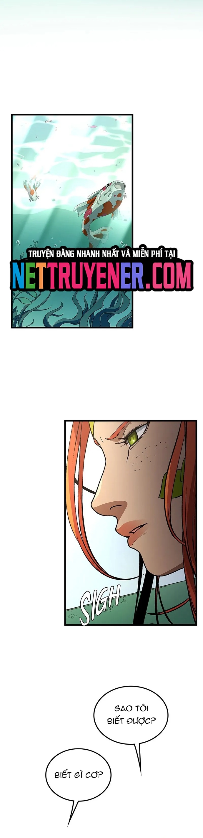 Sự Trở Lại Của Giáo Sư Runebound Chapter 35 - Trang 3