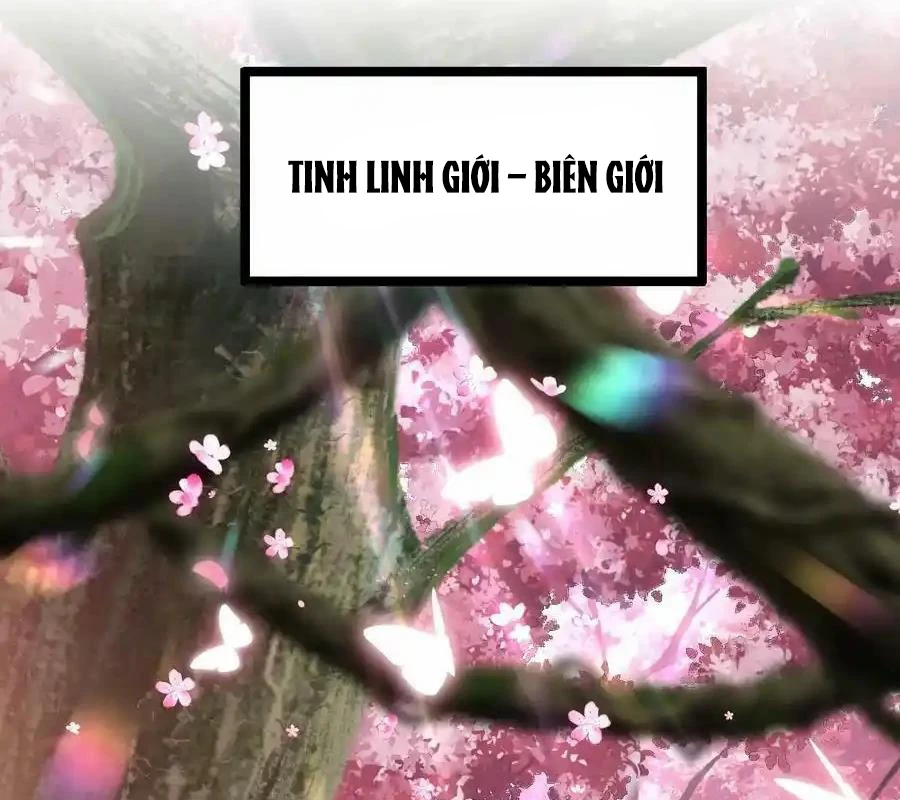 Sức Mạnh Của Kiếm Thần Chapter 66 - Trang 2
