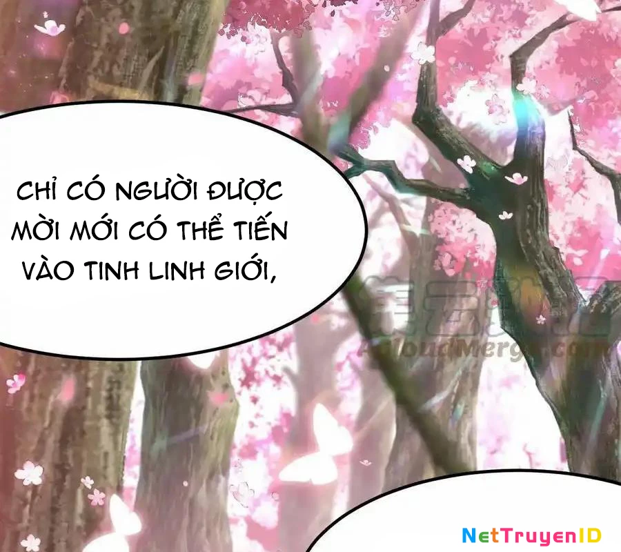 Sức Mạnh Của Kiếm Thần Chapter 66 - Trang 2