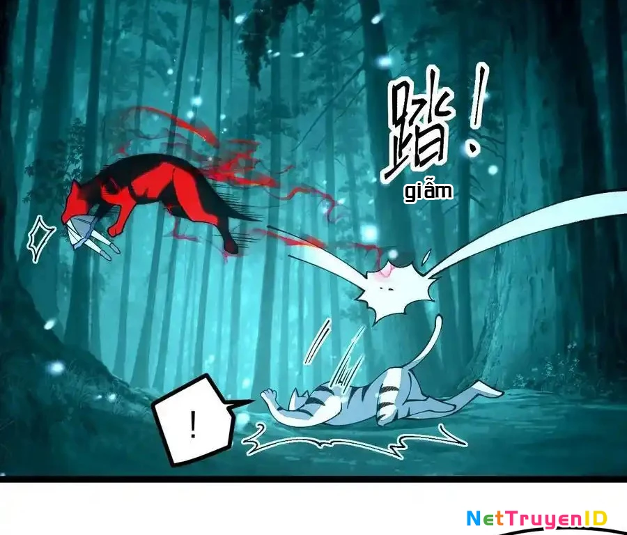Sức Mạnh Của Kiếm Thần Chapter 69 - Trang 2