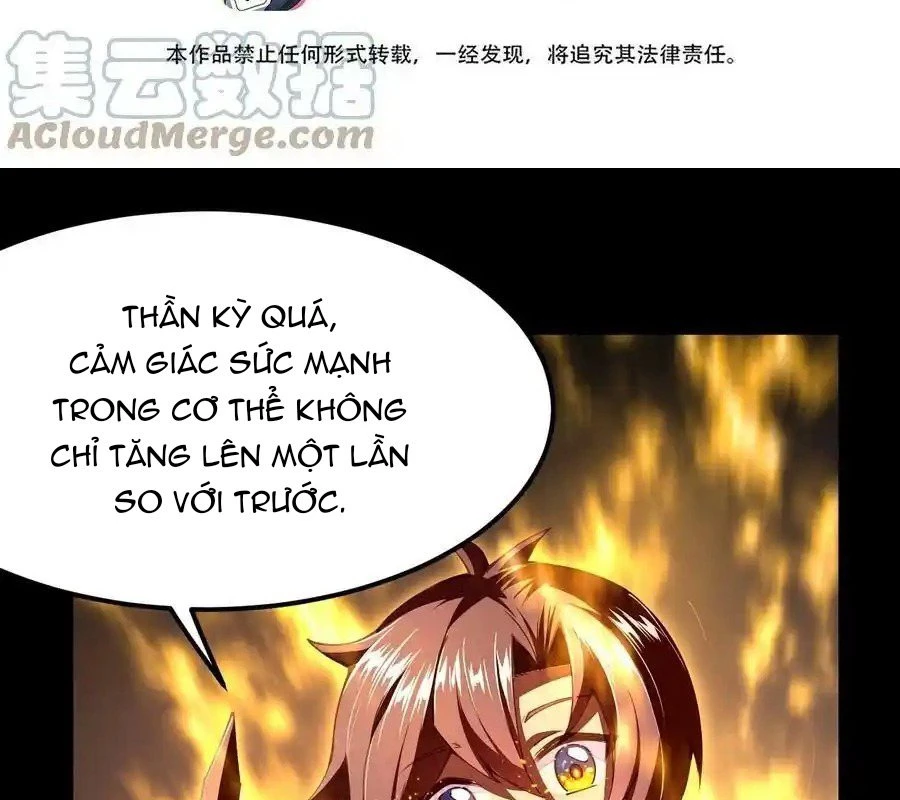 Sức Mạnh Của Kiếm Thần Chapter 79 - Trang 2