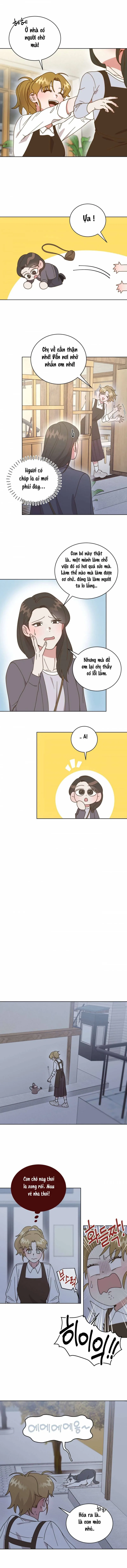 Suỵt! Dạy Học Nào! Chapter 21 6