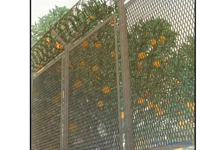 Ta Bán Hàng Vỉa Hè Ở Mạt Thế Chapter 75 58