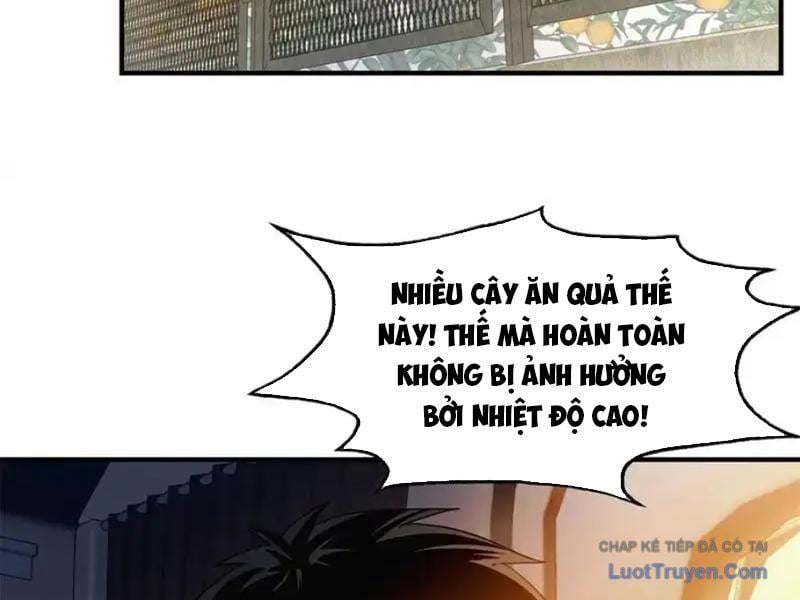 Ta Bán Hàng Vỉa Hè Ở Mạt Thế Chapter 75 59