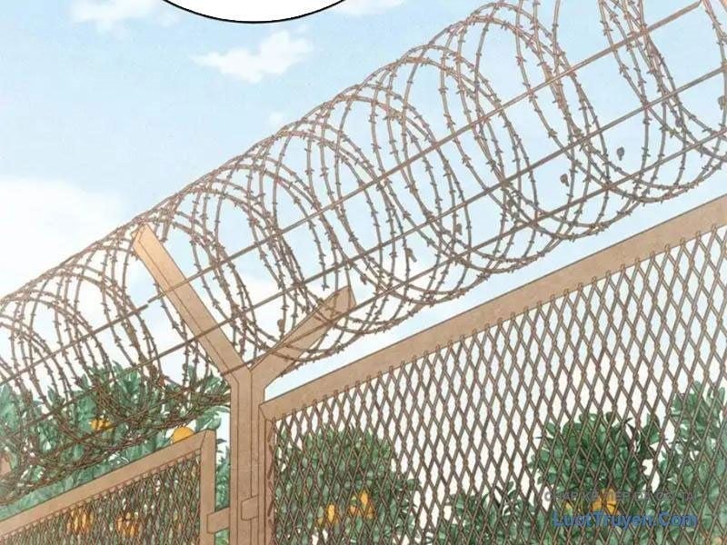 Ta Bán Hàng Vỉa Hè Ở Mạt Thế Chapter 75 69