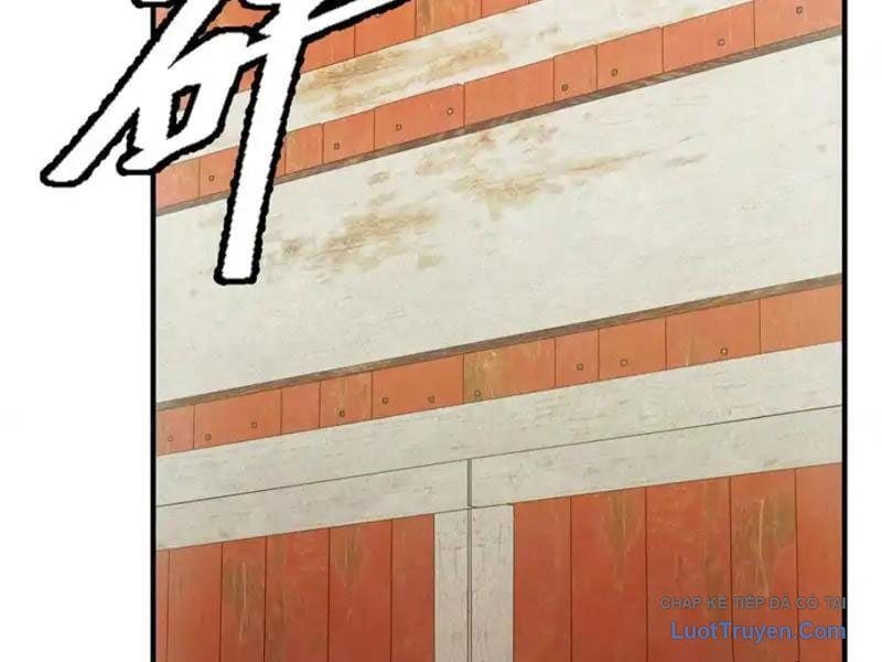 Ta Bán Hàng Vỉa Hè Ở Mạt Thế Chapter 75 104