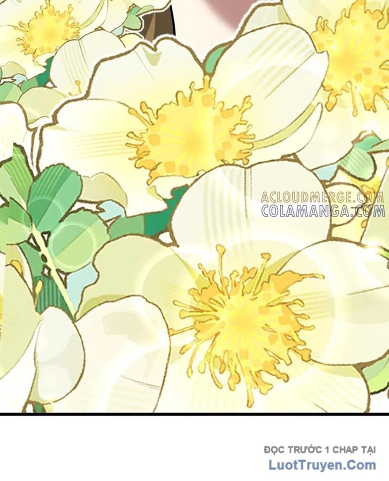 Ta Bị Kẹt Cùng Một Ngày 1000 Năm Chapter 217 - Trang 3