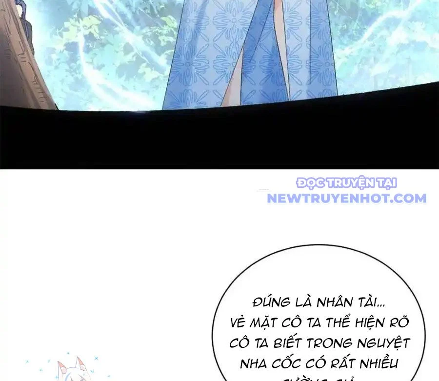 ta chính là không theo sáo lộ ra bài Chapter 305 - Next Chapter 306