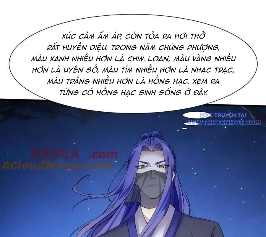 ta chính là không theo sáo lộ ra bài Chapter 311 - Next Chapter 312